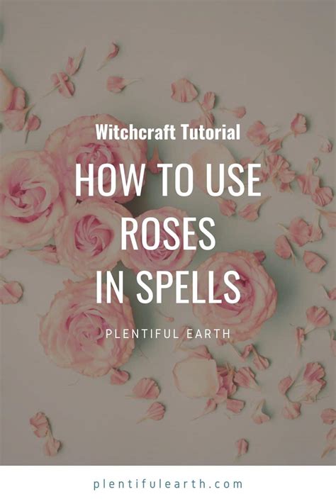 Connect with nature through the mystic spell roses in your vicinity